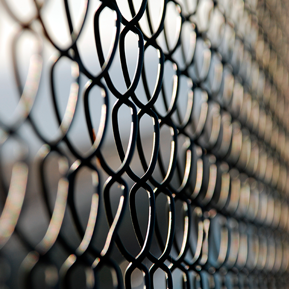 Net Fence